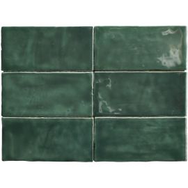 Sartoria Memorie Muschio 6,5x13 см гланц