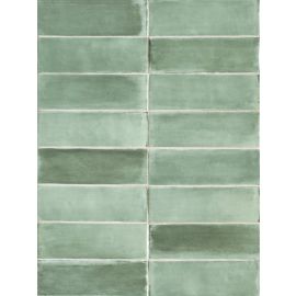 Sartoria Tint Garden 5,2x16 см мат
