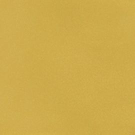 Sartoria Vernici Mustard Mayo 5x25 см гланц